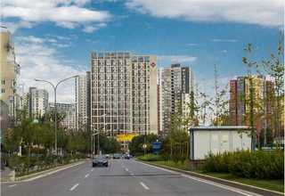 上城区耐热植物出租多少钱